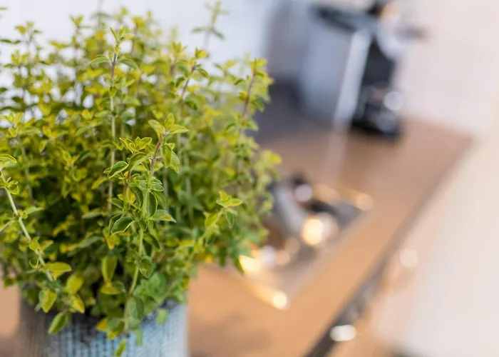 Wunder S Ferienpension Apartahotel Pörtschach am Wörthersee