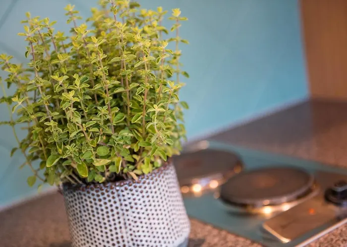 Apartahotel Wunder S Ferienpension 4*