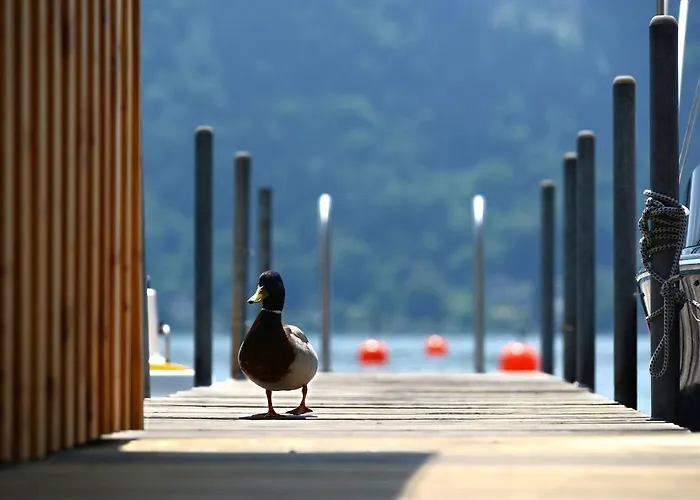 Apartahotel Wunder S Ferienpension